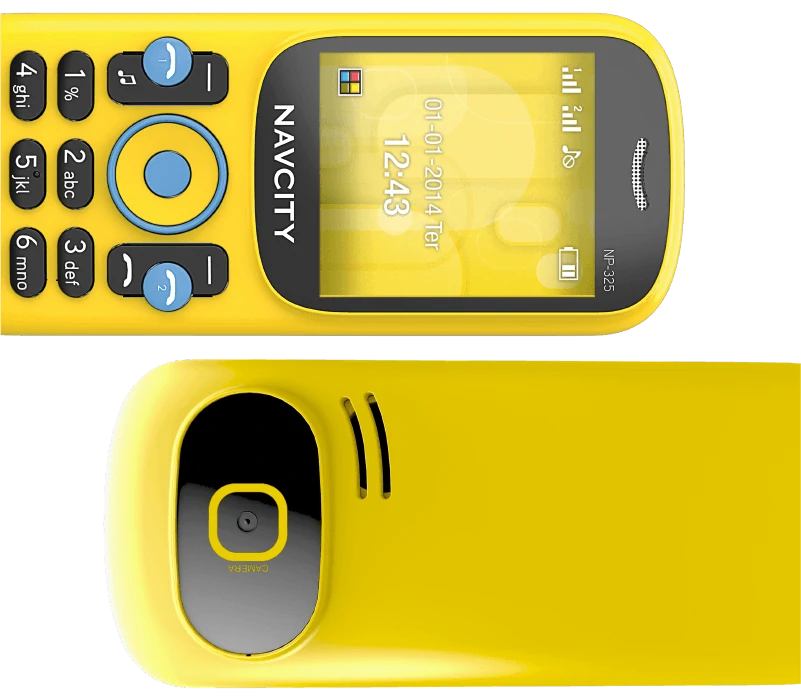 Dual-Chip